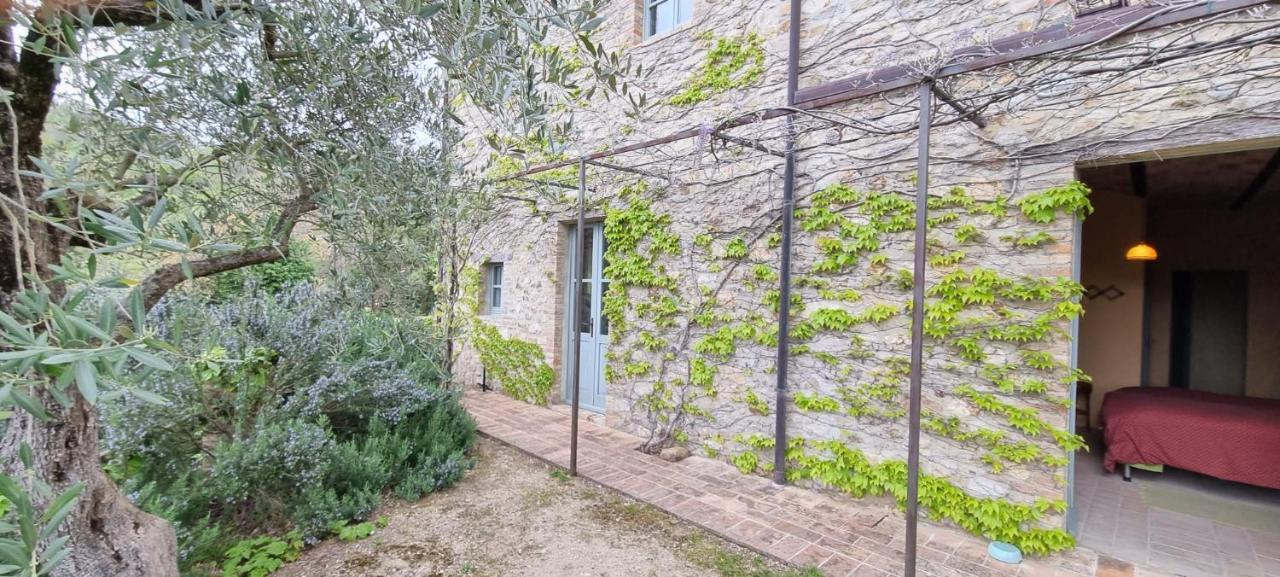 モントーネ Borgo Cardaneto Bed & Breakfast エクステリア 写真